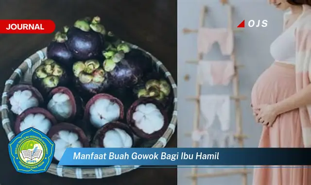 manfaat buah gowok bagi ibu hamil