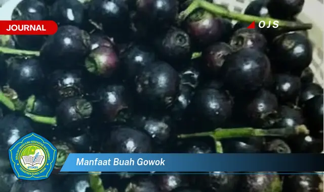 manfaat buah gowok