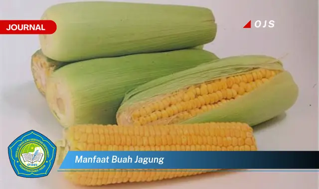 manfaat buah jagung