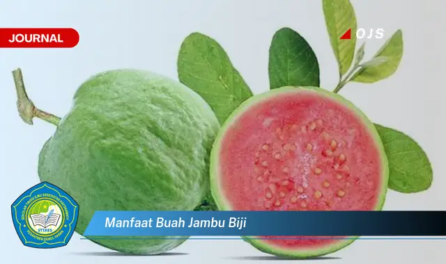 manfaat buah jambu biji