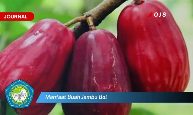 manfaat buah jambu bol