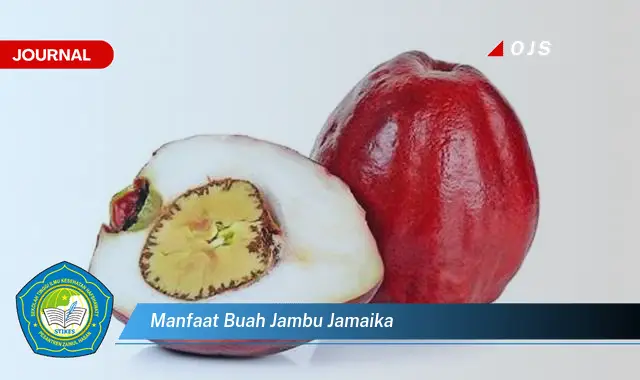 manfaat buah jambu jamaika