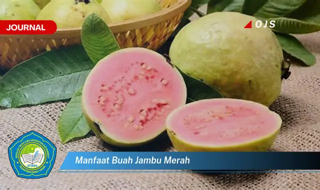 manfaat buah jambu merah