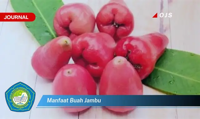 manfaat buah jambu