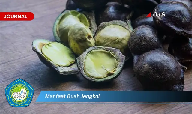 Temukan 6 Manfaat Buah Jengkol yang bikin Kamu Penasaran - E-Journal