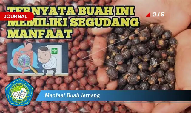 manfaat buah jernang