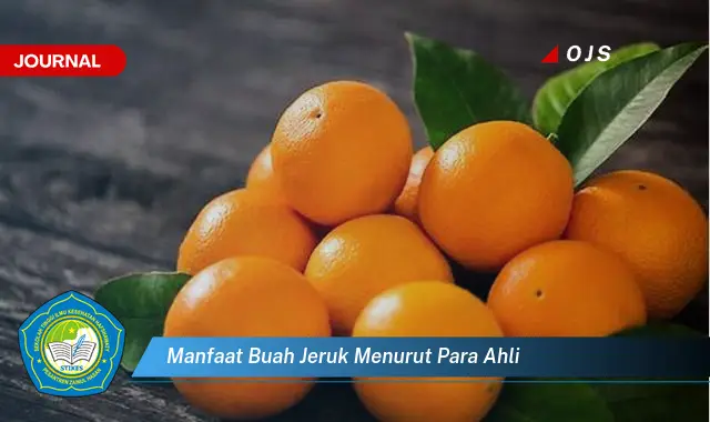 manfaat buah jeruk menurut para ahli