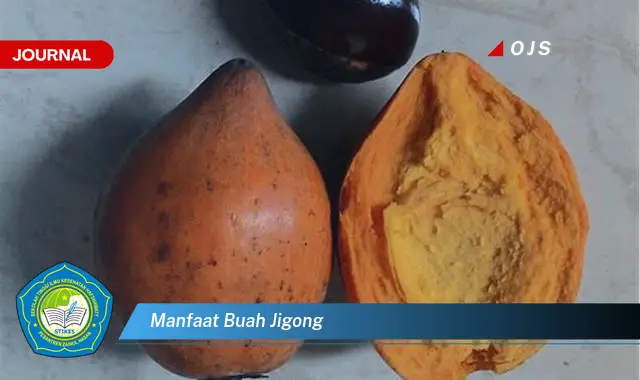 manfaat buah jigong