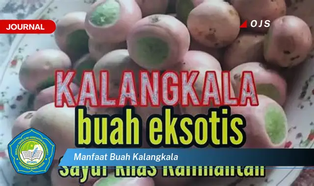 manfaat buah kalangkala