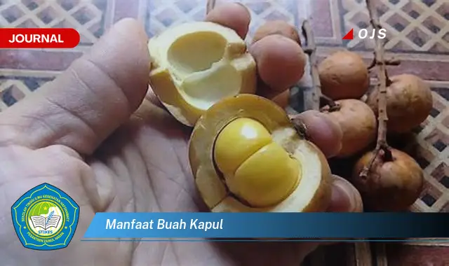 manfaat buah kapul