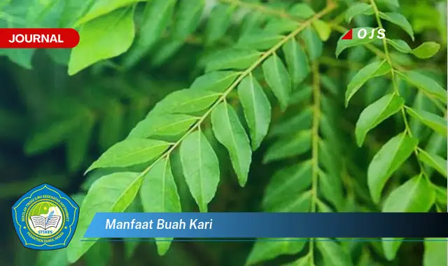 manfaat buah kari