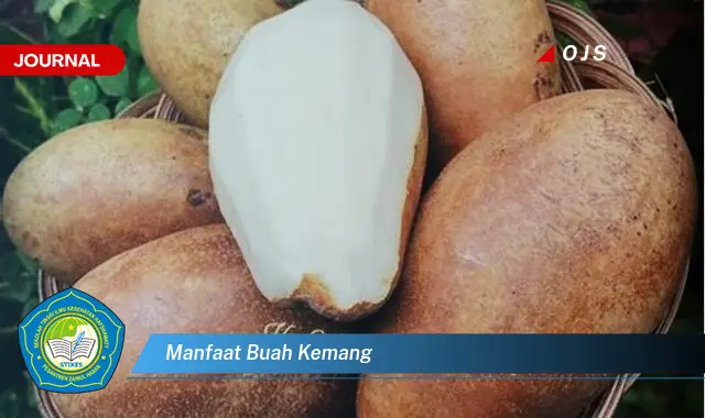 manfaat buah kemang