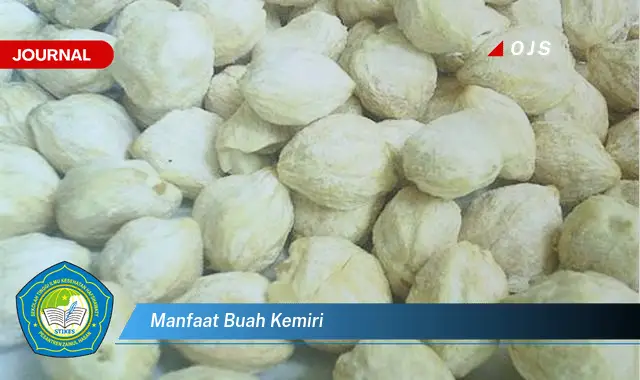 manfaat buah kemiri