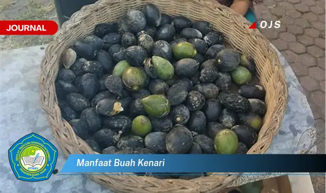 manfaat buah kenari