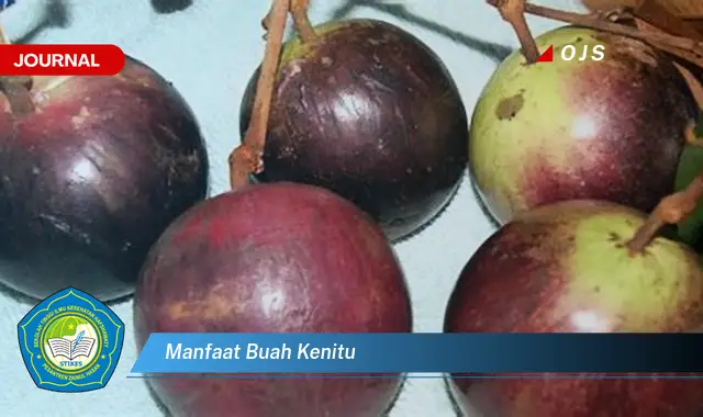 manfaat buah kenitu