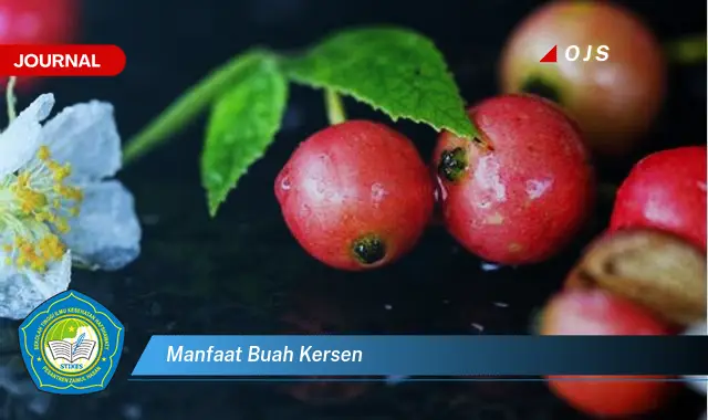 manfaat buah kersen