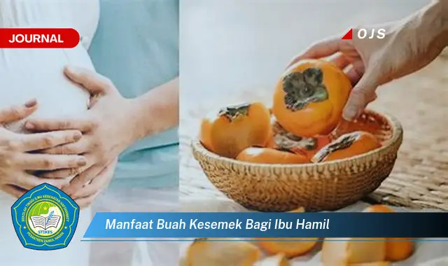 manfaat buah kesemek bagi ibu hamil