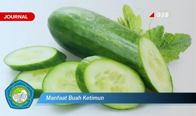 manfaat buah ketimun