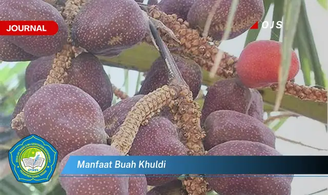 manfaat buah khuldi