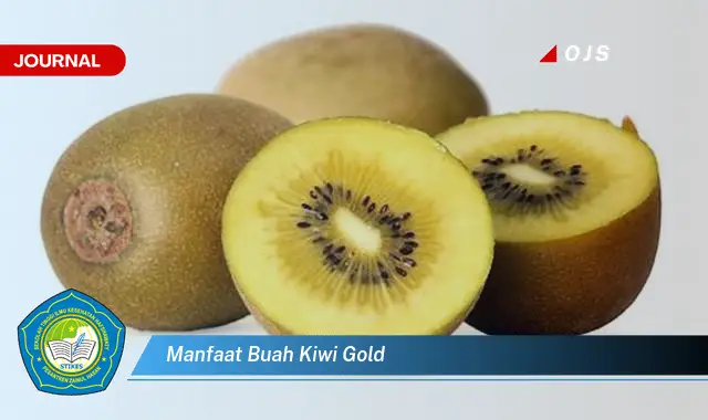 manfaat buah kiwi gold