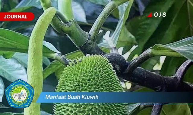 manfaat buah kluwih