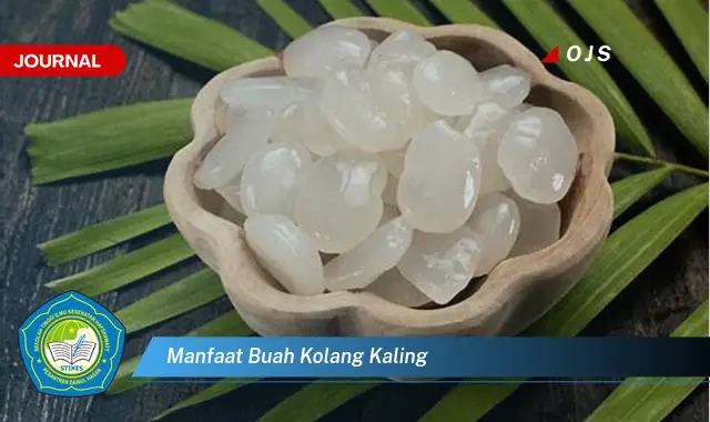 manfaat buah kolang kaling manfaat buah kolang kaling