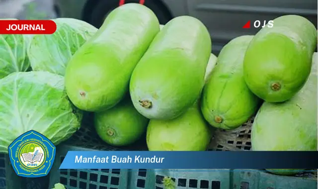 manfaat buah kundur