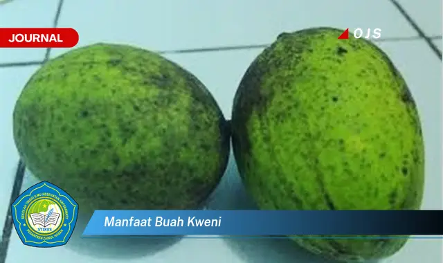 manfaat buah kweni manfaat buah kweni