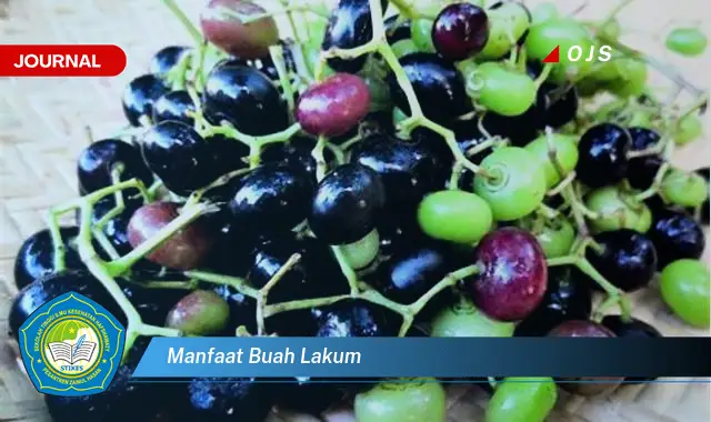 manfaat buah lakum