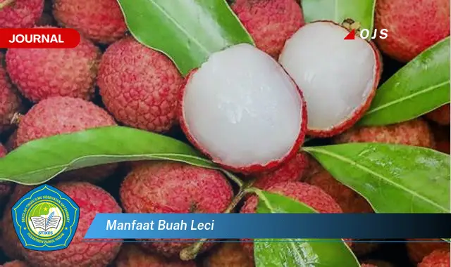 manfaat buah leci