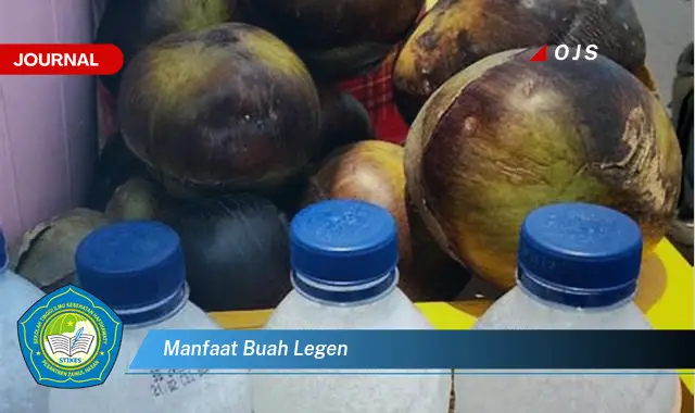 manfaat buah legen