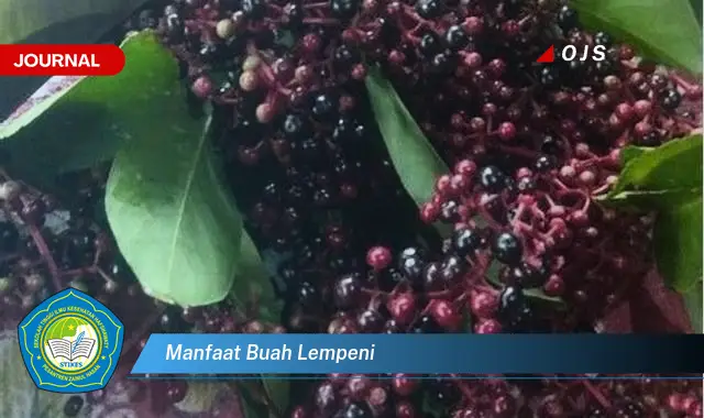 manfaat buah lempeni