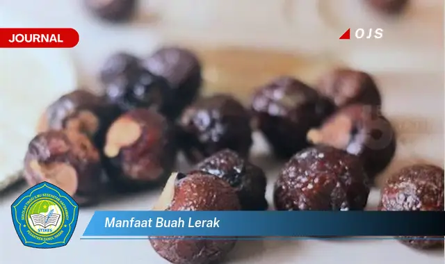 manfaat buah lerak