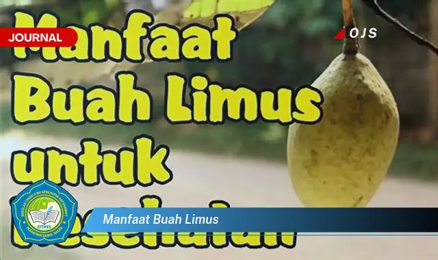 manfaat buah limus