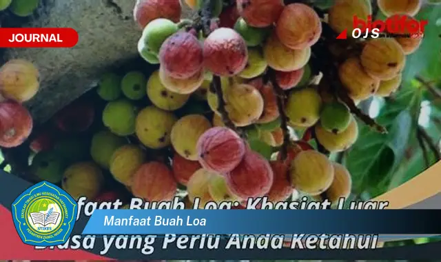 manfaat buah loa