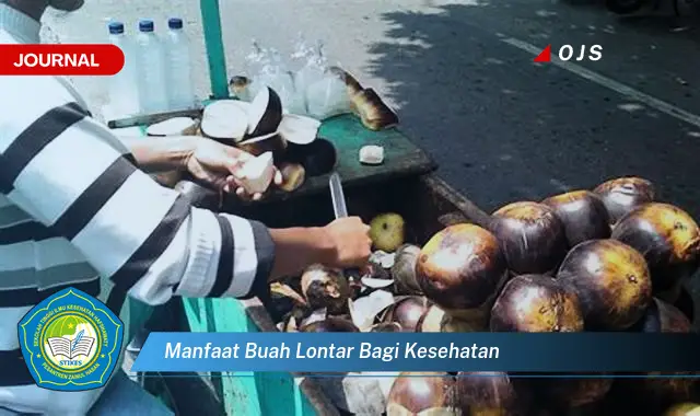 manfaat buah lontar bagi kesehatan