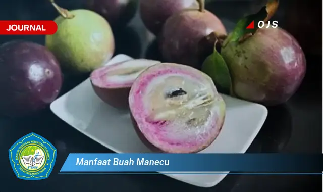 manfaat buah manecu