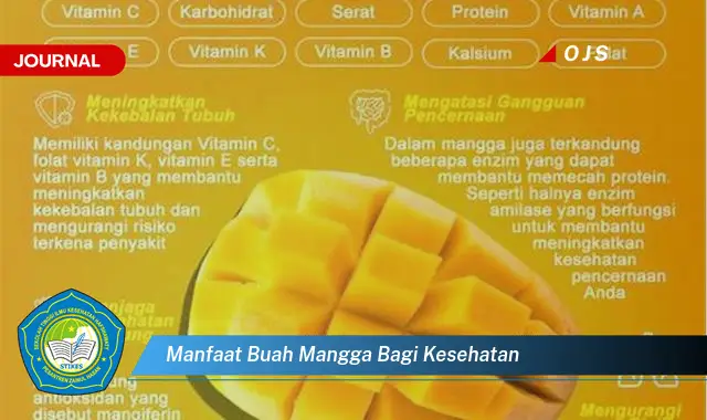 manfaat buah mangga bagi kesehatan