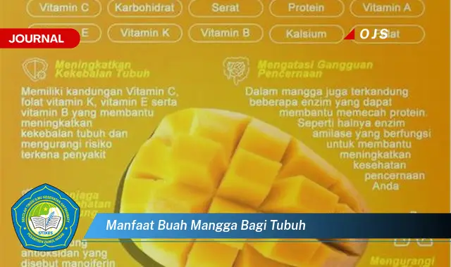 manfaat buah mangga bagi tubuh