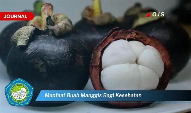 manfaat buah manggis bagi kesehatan manfaat buah manggis bagi kesehatan