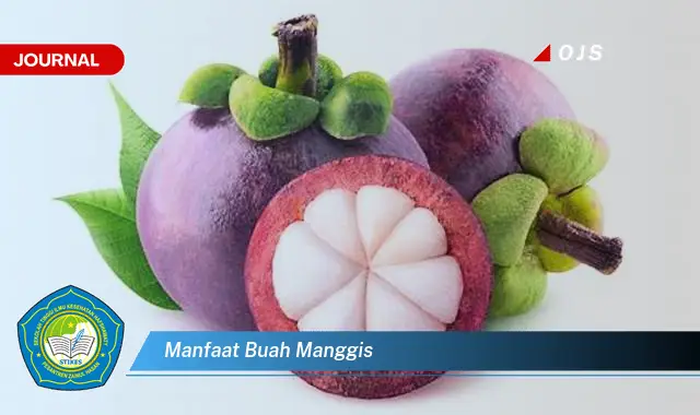 manfaat buah manggis