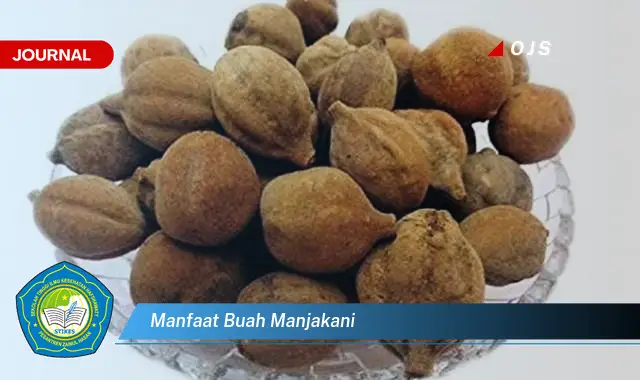 manfaat buah manjakani