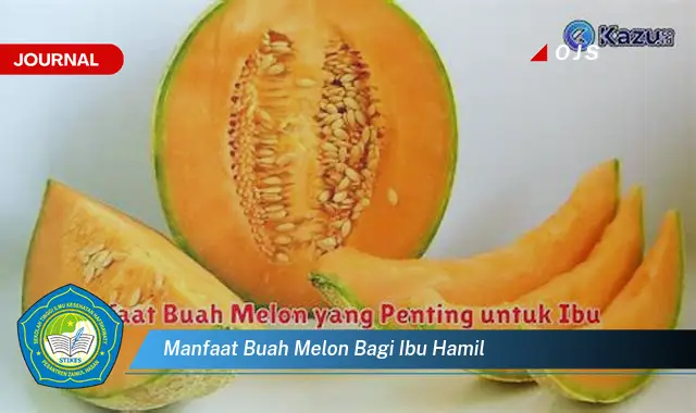 manfaat buah melon bagi ibu hamil