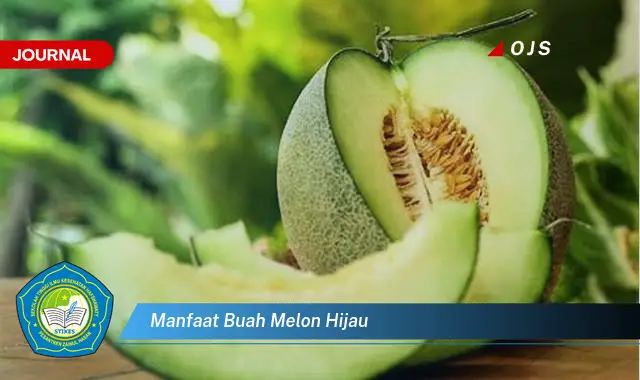 manfaat buah melon hijau