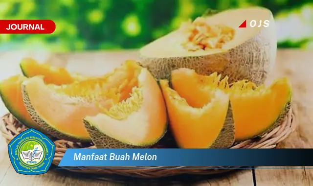 manfaat buah melon