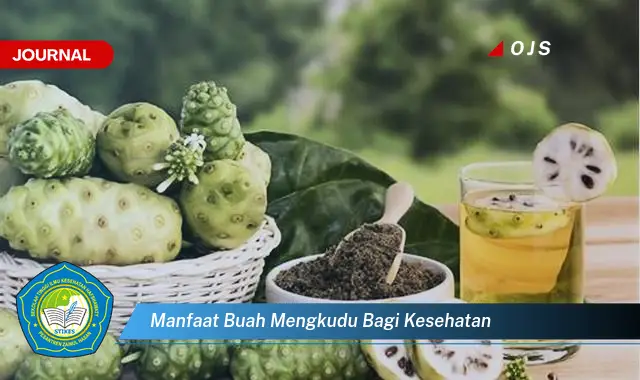 manfaat buah mengkudu bagi kesehatan