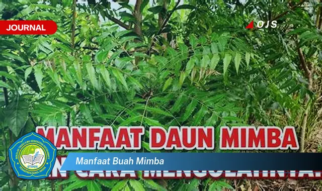 manfaat buah mimba