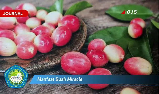 manfaat buah miracle