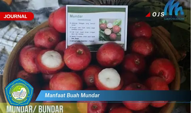 manfaat buah mundar