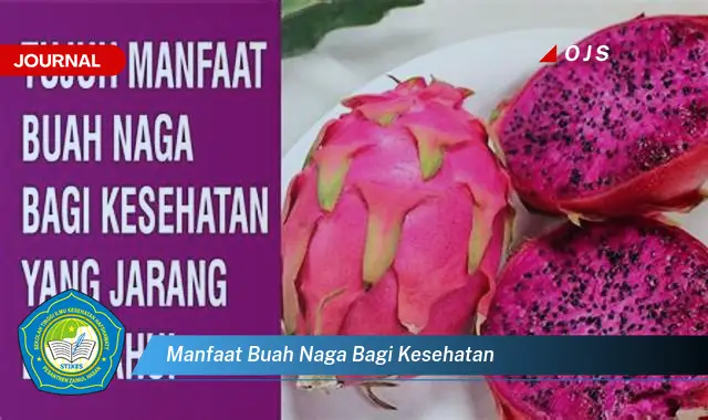 manfaat buah naga bagi kesehatan